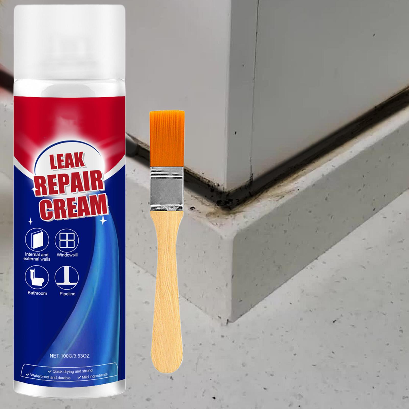 Roof Sealant Patch - Scellant liquide imperméable de 100 ml